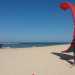 Servono per praticare il kitesurf, uno sport che consiste nel farsi trainare sullacqua dagli aquiloni (kite in inglese) sfruttando la forza del vento